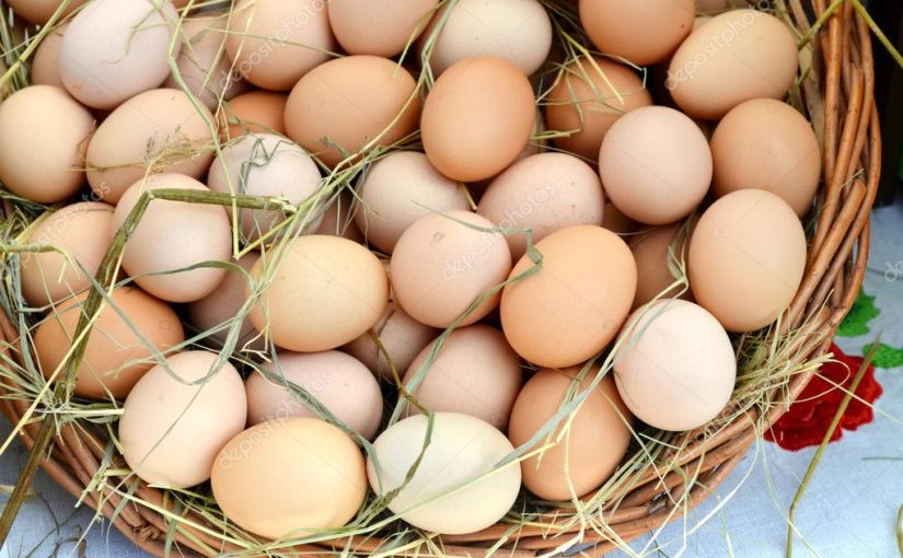 ¿Qué son los ovoproductos?